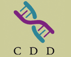 CDD